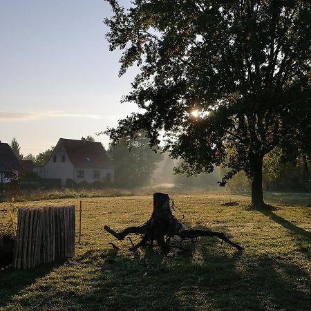 Ferienwohnung & Campingplatz Vor Dem Berg Heideblick Екстер'єр фото