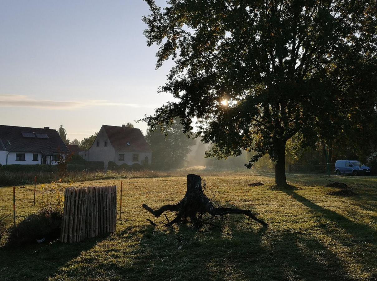 Ferienwohnung & Campingplatz Vor Dem Berg Heideblick Екстер'єр фото